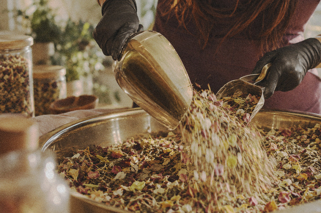 THE BEAUTY OF BOTANICALS